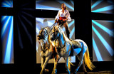 Cabarets Equestres