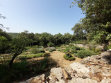 le jardin des simples