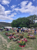 bourse aux plants du 8 mai