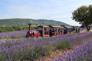 Maison de la lavande Provence / 1937 Producteur Distillateur Musée