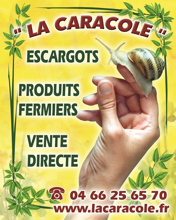 La Caracole producteur d'escargots en Cevenness