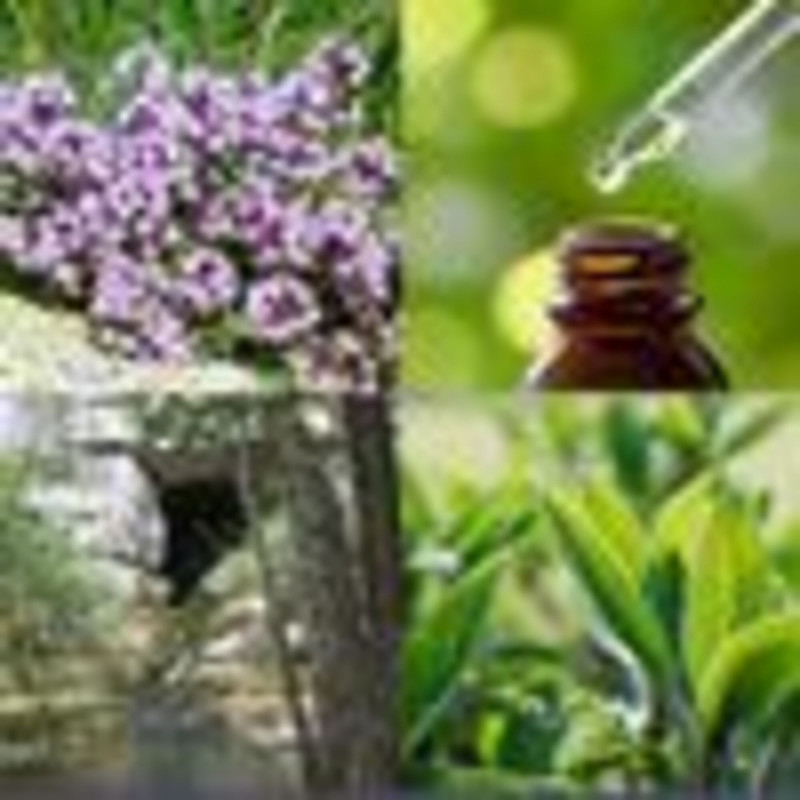 Distillerie du Bois de Païolive : Essential oils and more..._Banne