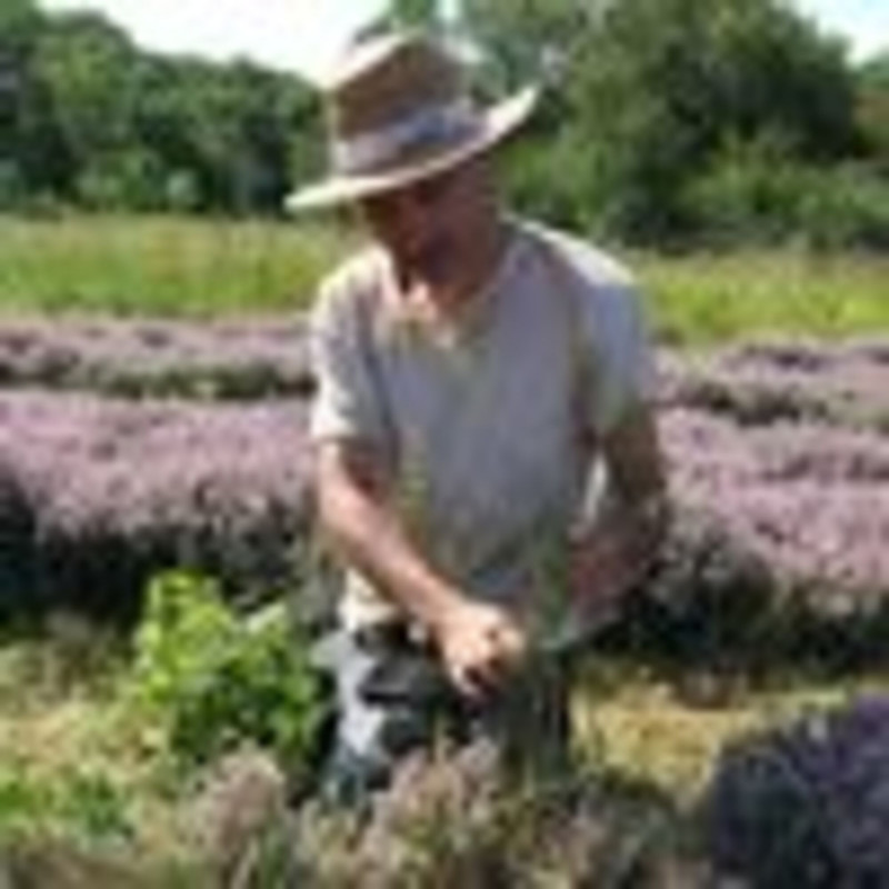 Distillerie du Bois de Païolive : Essential oils and more..._Banne