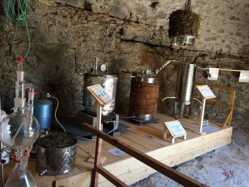 Distillerie du Bois de Païolive : Essential oils and more..._Banne