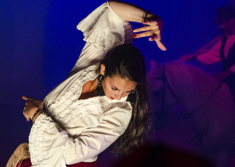 Cabaret voor ruiters - © Cabarets equestres Cabaret voor ruiters