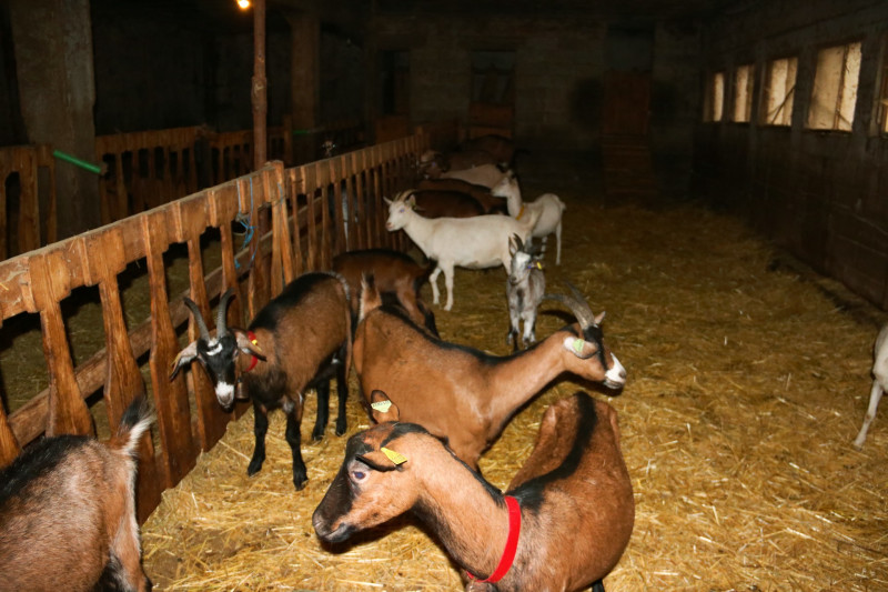 Le Mas du Mime - © Alexia SUGIER PESENTI Le Mas du Mime