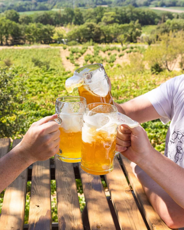 Beer tasting - © Brasserie Etienne Beer tasting