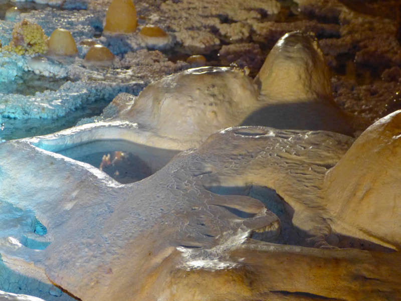 Grotte Forestière gours Grotte Forestière gours