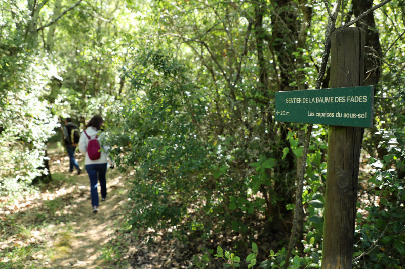 Sentier d'interprétation de la baume des fades_Méjannes-le-Clap