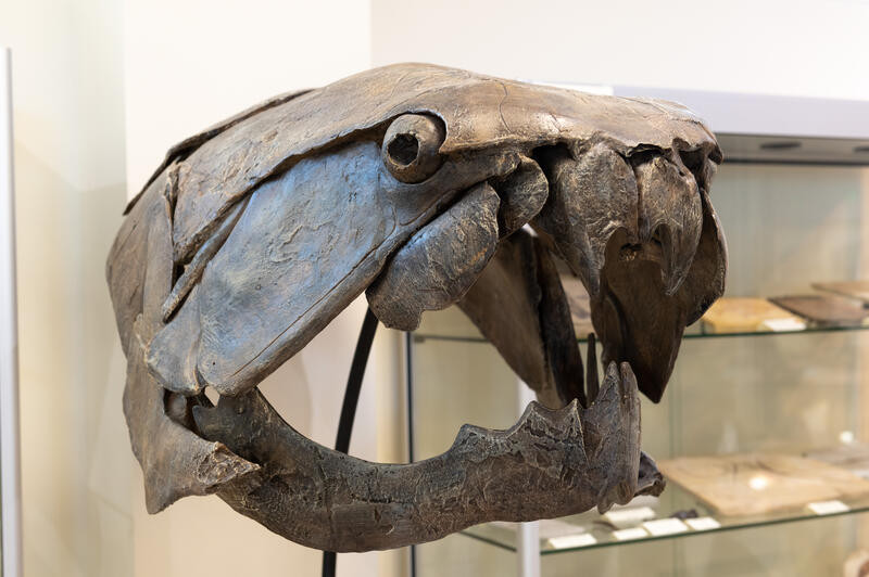 c2a9sophiebrunet_dsc_2279_ok_800px.jpg c2a9sophiebrunet_dsc_2279_ok_800px.jpg