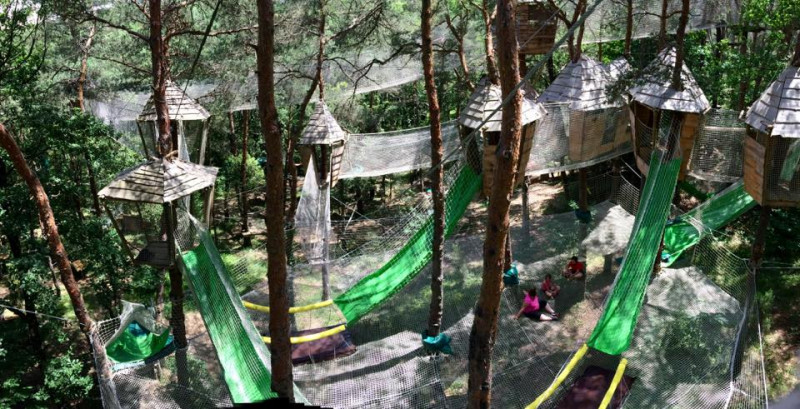 Bois des Musiciens Bois des Musiciens