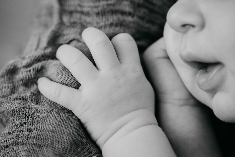 Papa Ours Photo_Méjannes-le-Clap