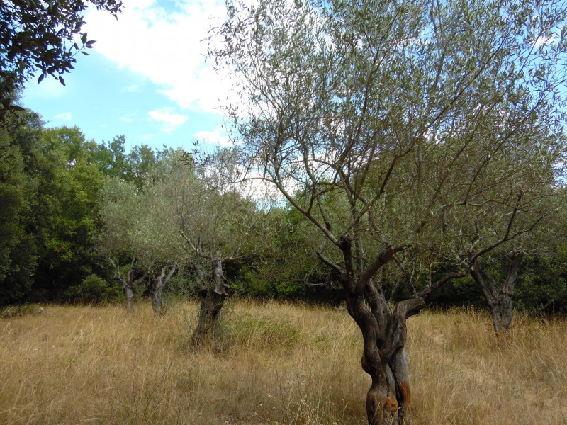 Espace Détente_Méjannes-le-Clap