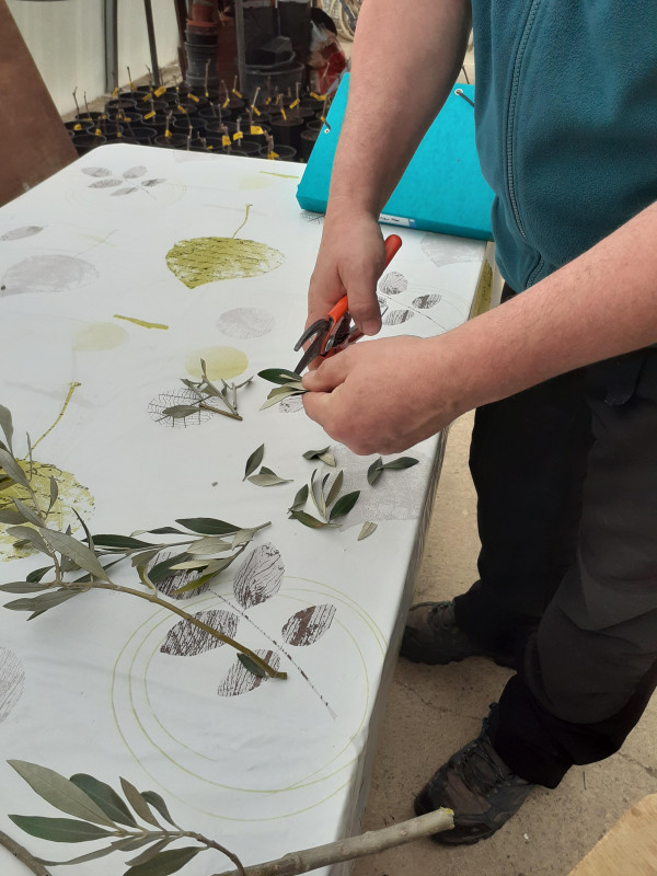 Les Jardins Ethnobotaniques de la Gardie_Rousson