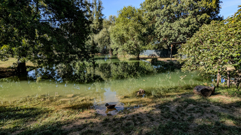 Pisciculture des Fumades_Allègre-les-Fumades