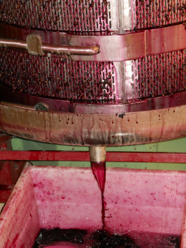 Clos la Roque - © M. Simon - Clos la Roque Clos la Roque