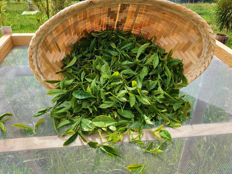 La ferme de Bruguerolle