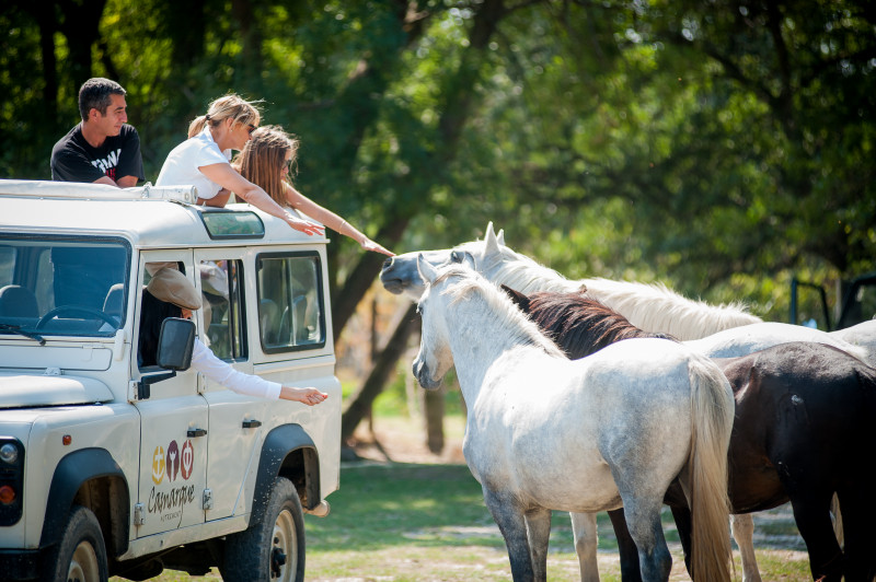 Camargue autrement - © Camargue autrement Camargue autrement