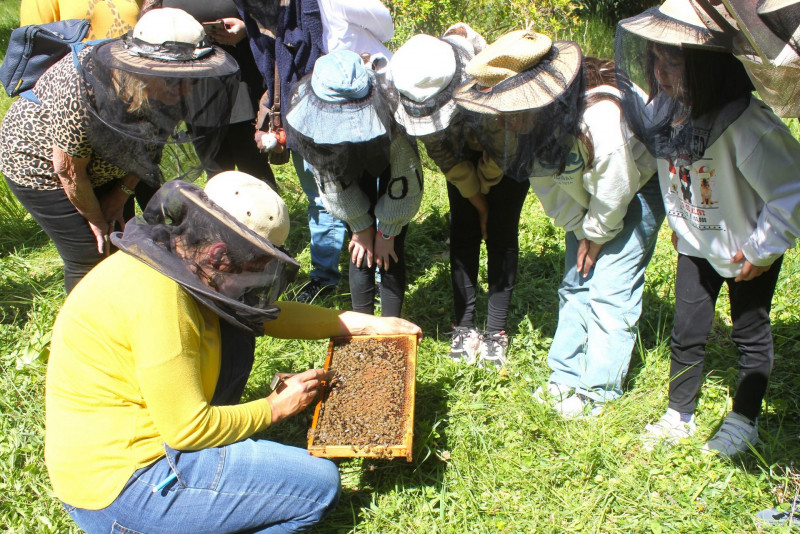 Le rucher de Potelières
