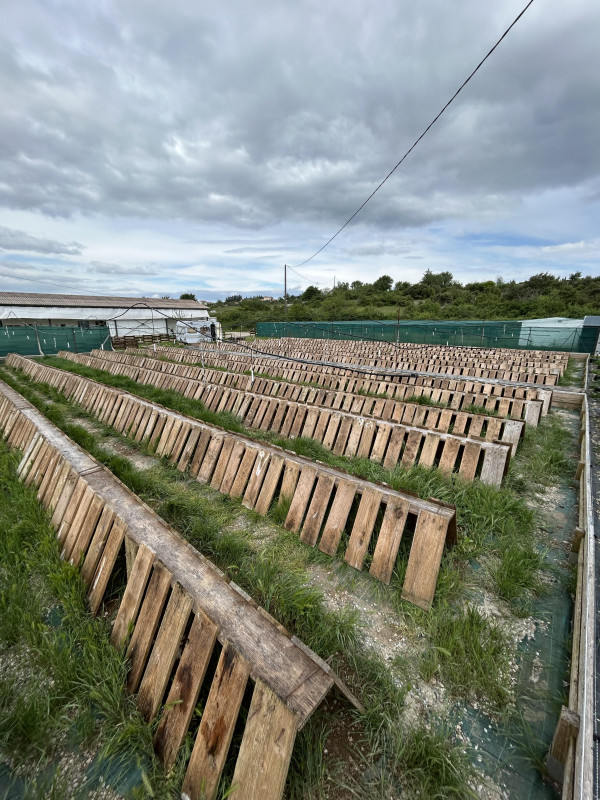 parc - © Rémy parc