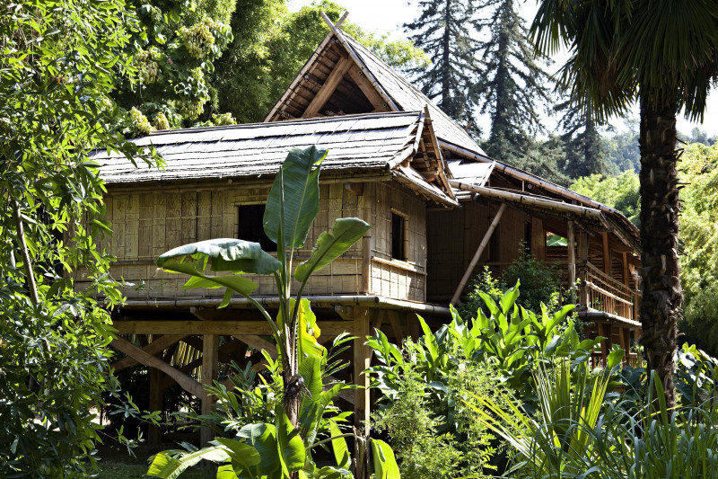 The Bamboo Grove in the Cévennes_Générargues