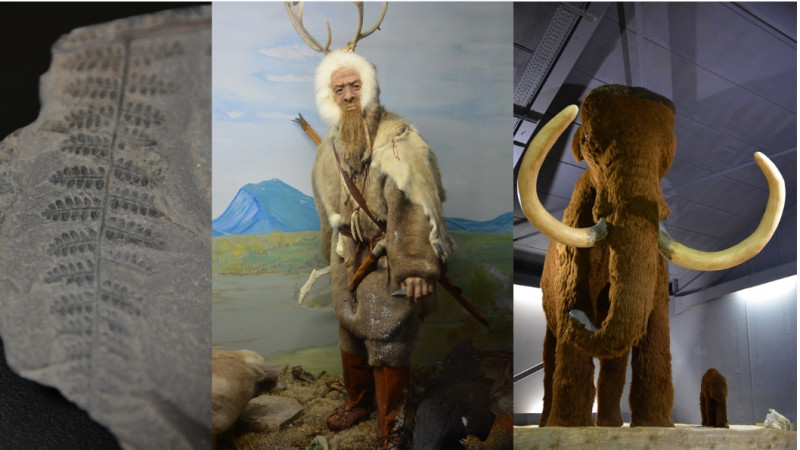 sans_nom_1.jpg - © Prehistorama_Rousson sans_nom_1.jpg