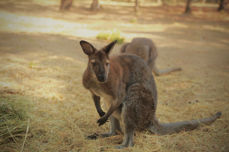 08e980b9b7352f127234.jpg 08e980b9b7352f127234.jpg