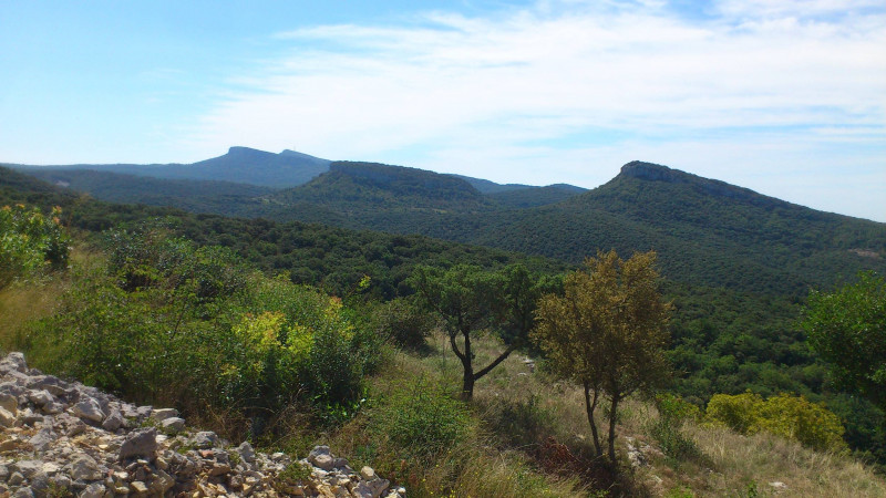 Vue sur le Mont Bouquet - © © A. GRIFFON - Dpt30 Vue sur le Mont Bouquet