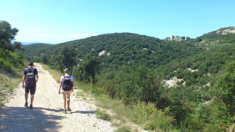 dsc_0724_o734bgigdnog.jpg - © © A. GRIFFON - Dpt30 dsc_0724_o734bgigdnog.jpg