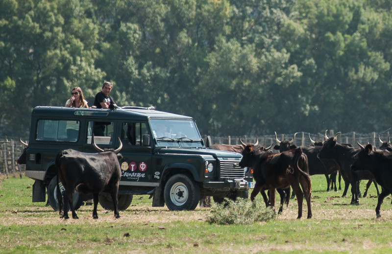 Camargue autrement