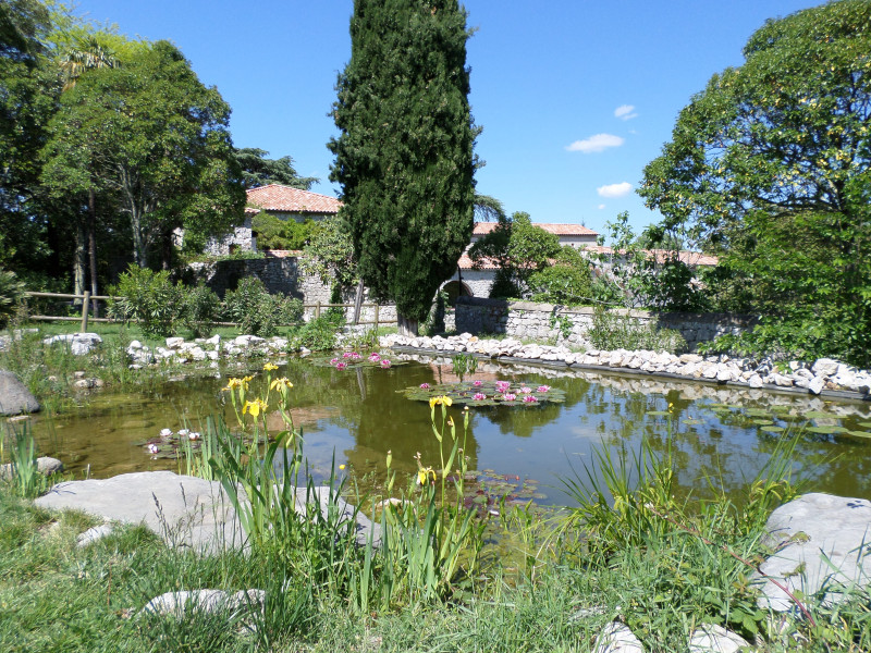Bassin Bassin