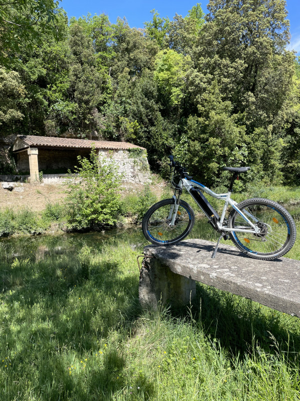 vélo au bord d'un étang