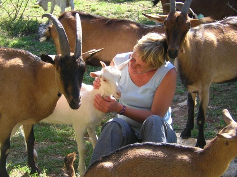 Capriclap Farm