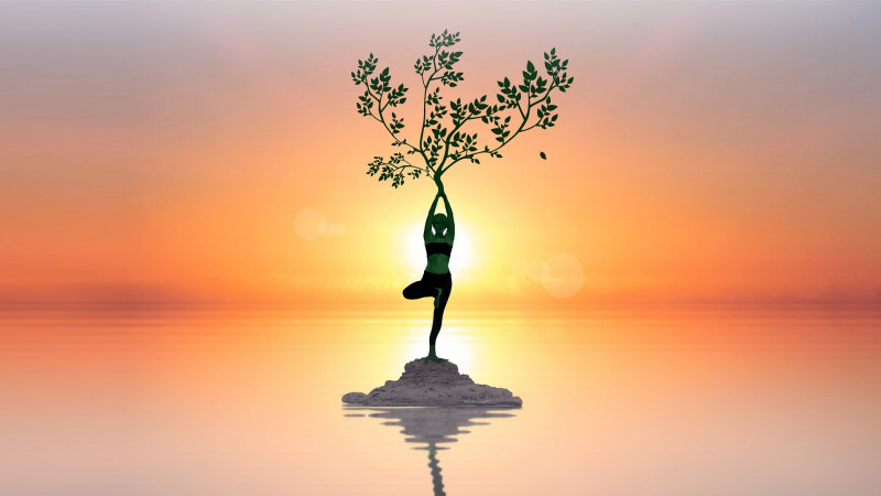 arbre_de_vie.jpg