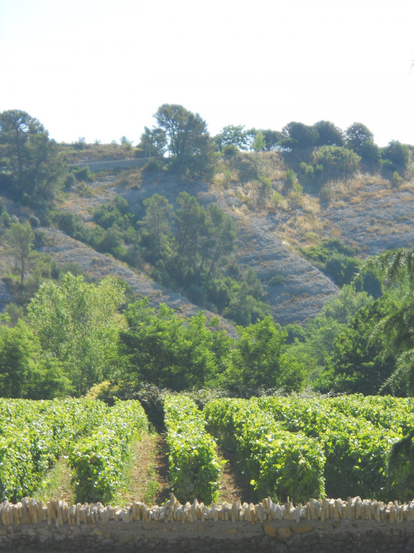 Clos la Roque - © M. Simon - Clos la Roque Clos la Roque