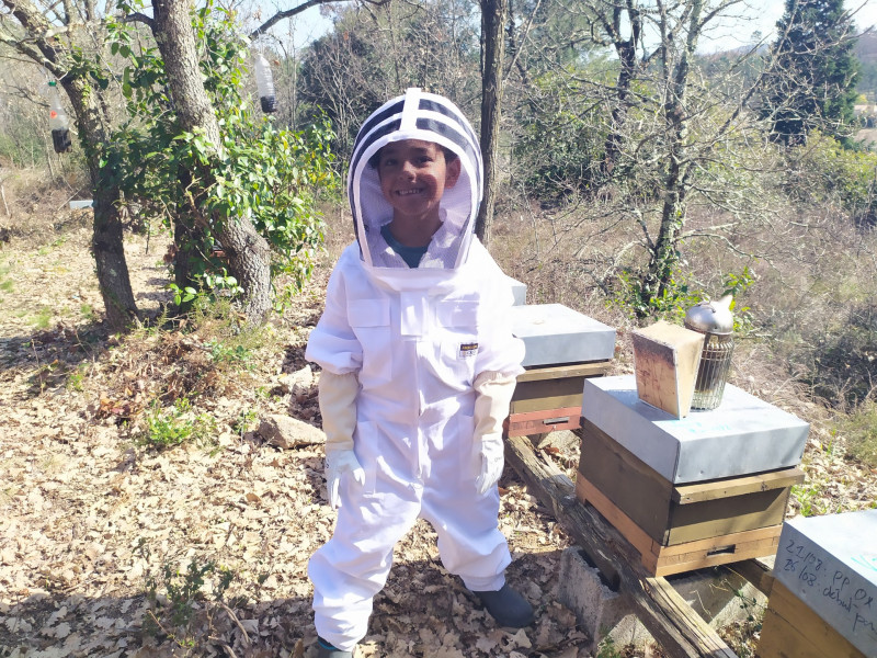 Secret d'abeilles - © Denis Cochennec Secret d'abeilles