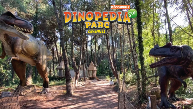 Dinopedia Parc loisirs
