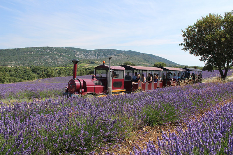Tour en train