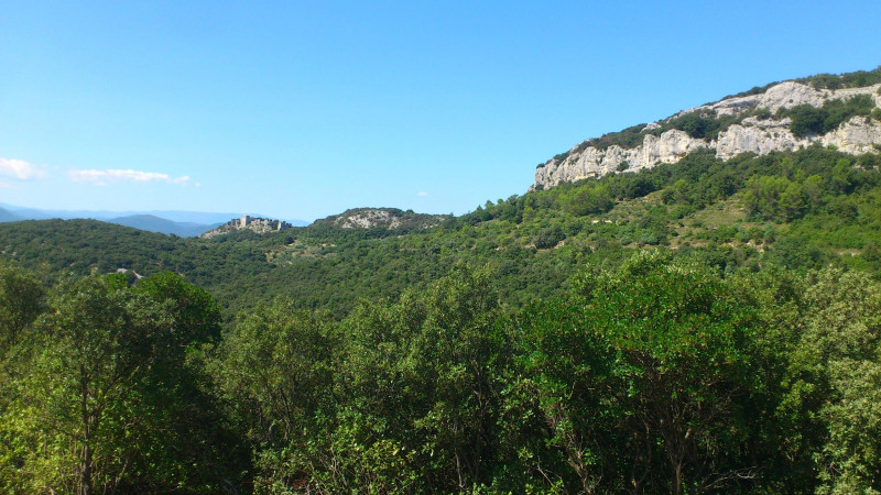 Falaises et château d'Allègre Falaises et château d'Allègre