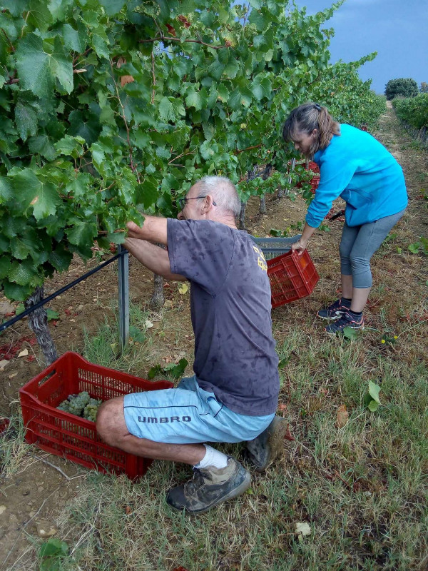 Domaine des Bragalous