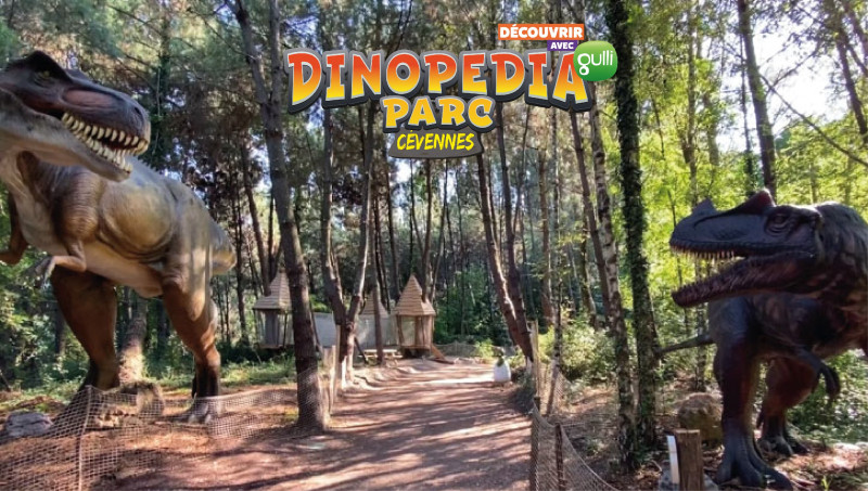 Dinopedia Parc loisirs Dinopedia Parc loisirs