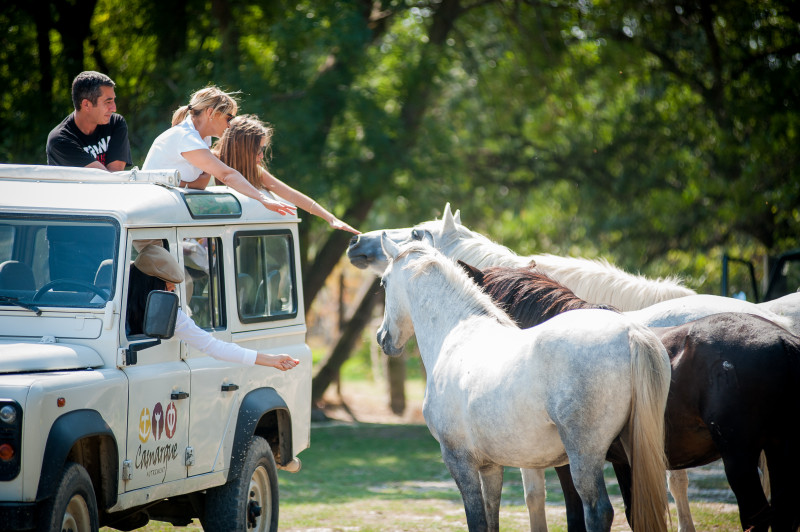 Camargue autrement - © Camargue autrement Camargue autrement