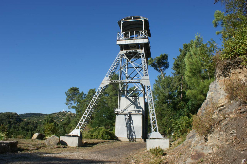 Mine Témoin