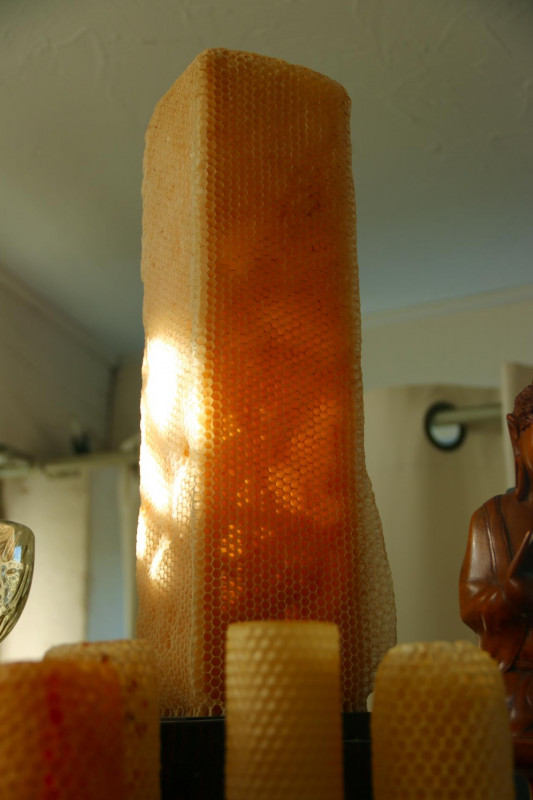 Beesart