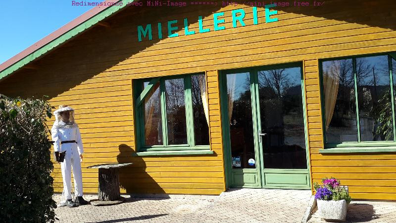 Au rucher Cévenol
