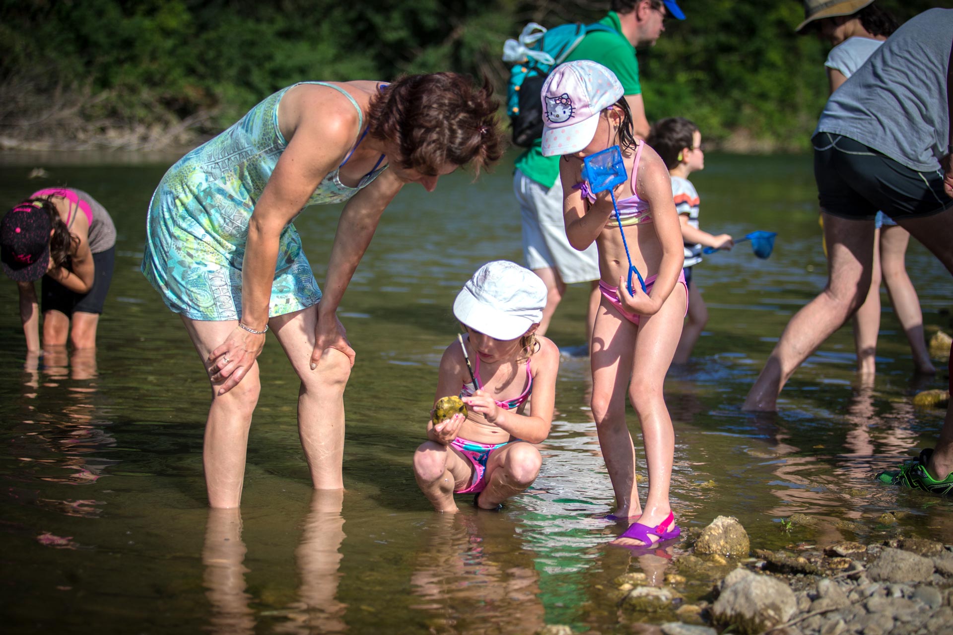 decouverte-faune-aquatique-ceze-mejannes-2016-1-720