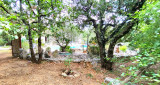 jardin.jpg
