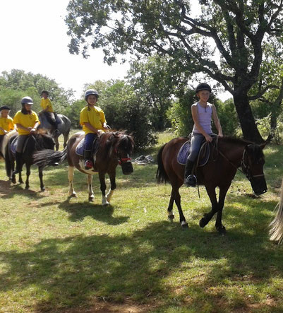 promenade_a_poney.jpg
