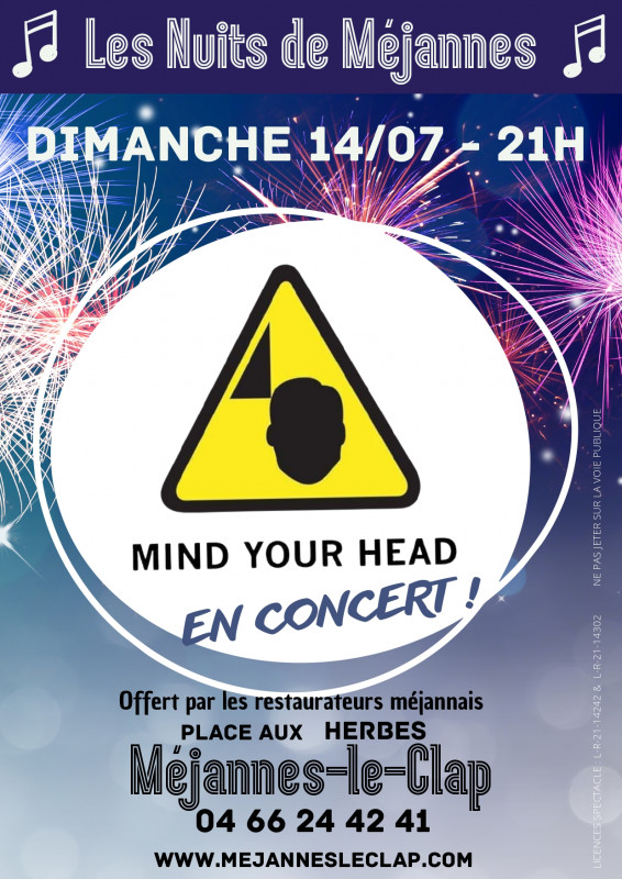 14_07_concert_mind_your_head_page_0001.jpg