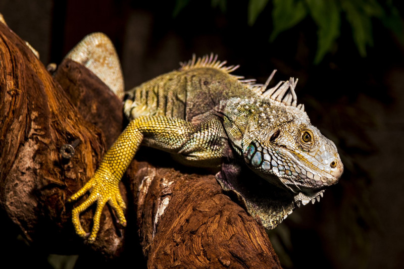 20_08_atelier_biodiversite.jpg